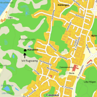 Vit Flugsvamp